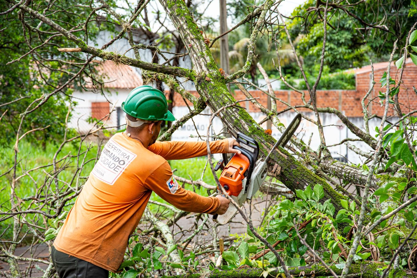 Trabalhador com capacete corta com motosserra os galhos de uma árvore caída