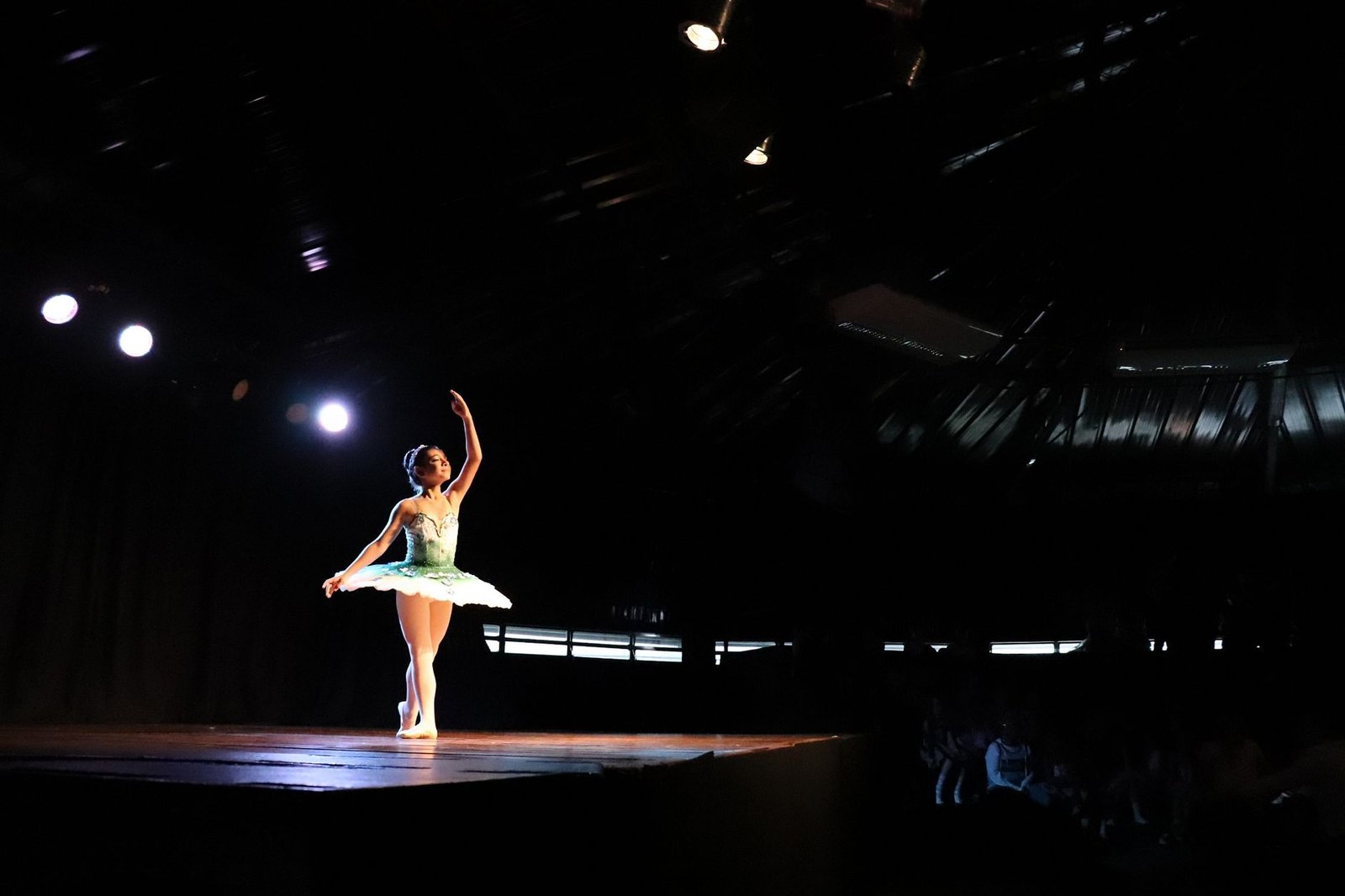 Bailarina de tutu verde em pose no palco iluminado por um refletor, em foto de arquivo