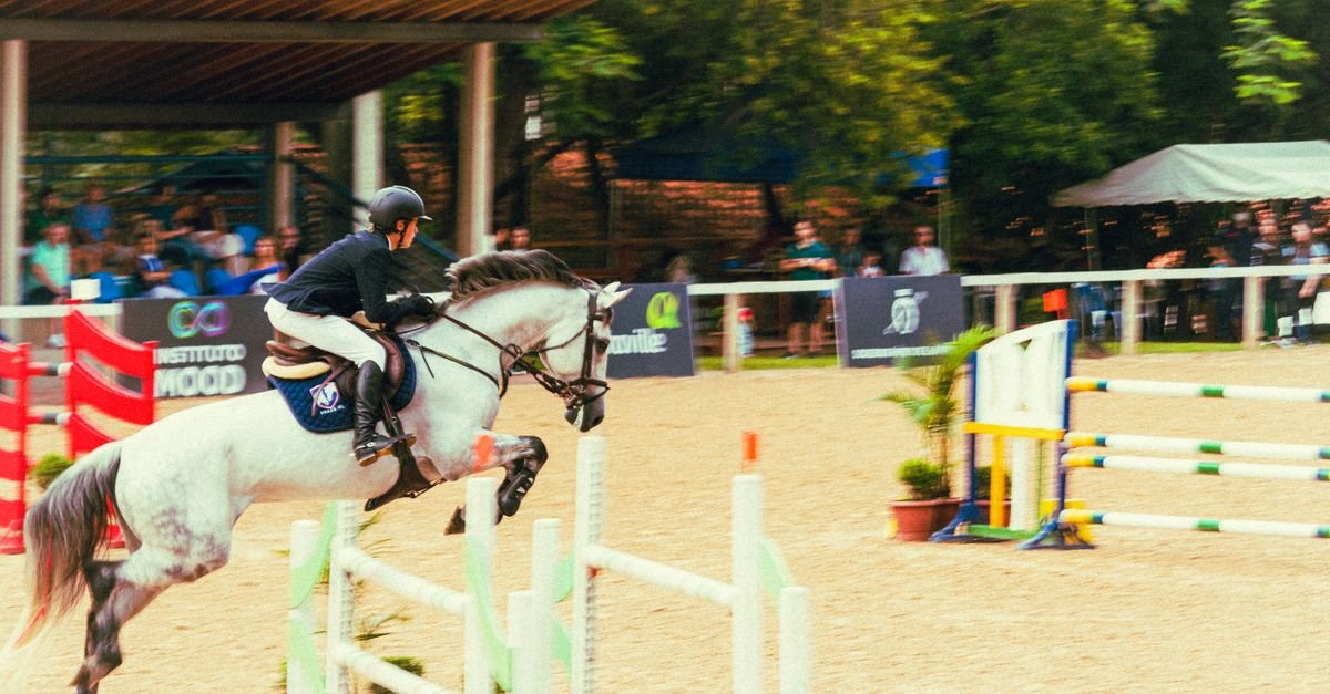 Conjunto de cavalo e amazona salta obstáculo durante prova de hipismo em pista de areia
