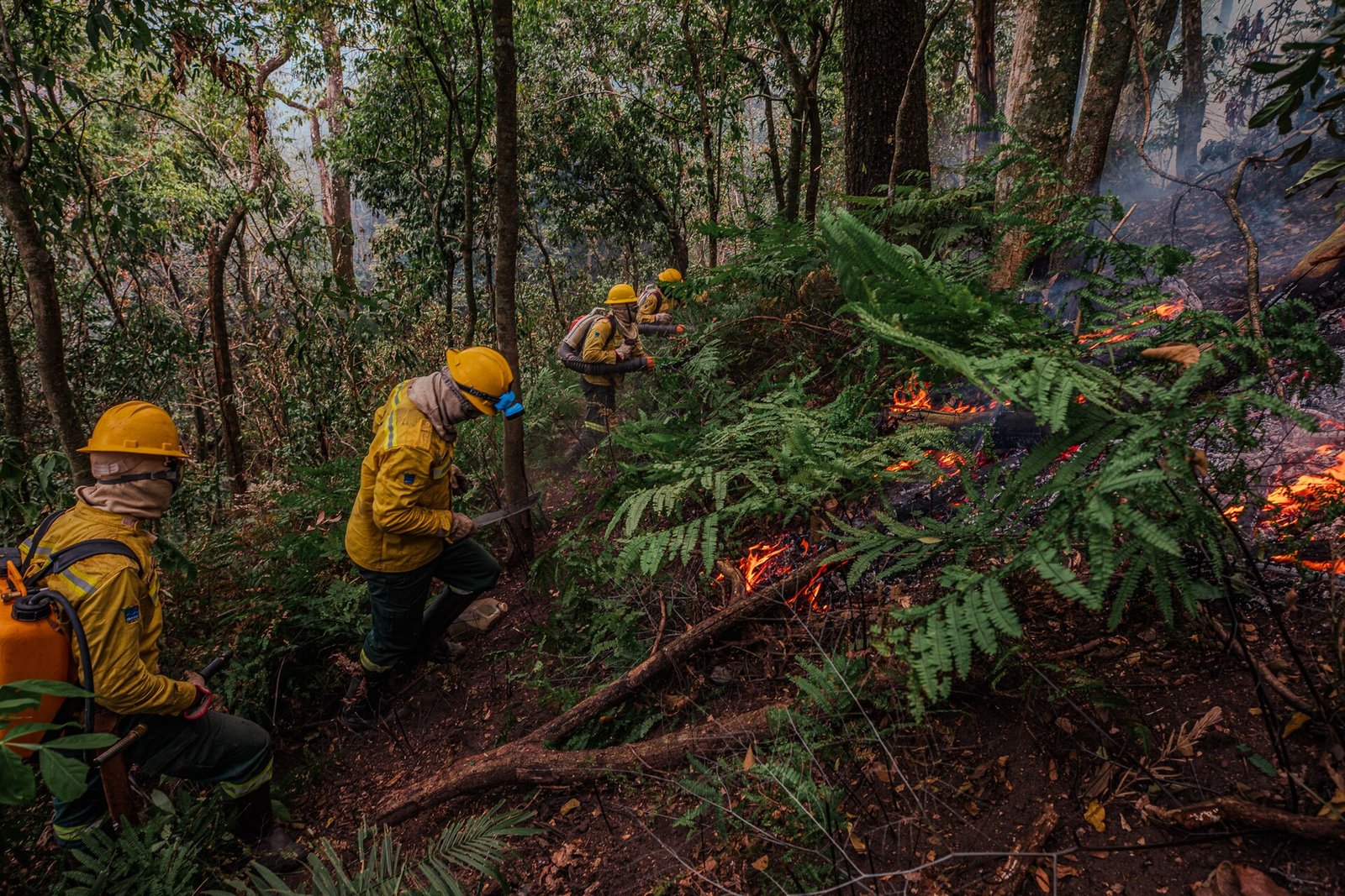 Brigadistas de uniforme amarelo combatem fogo em área de vegetação