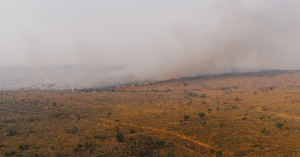 Vista aérea de linha de fogo avançando sobre vegetação rasteira seca, com fumaça densa cobrindo o horizonte