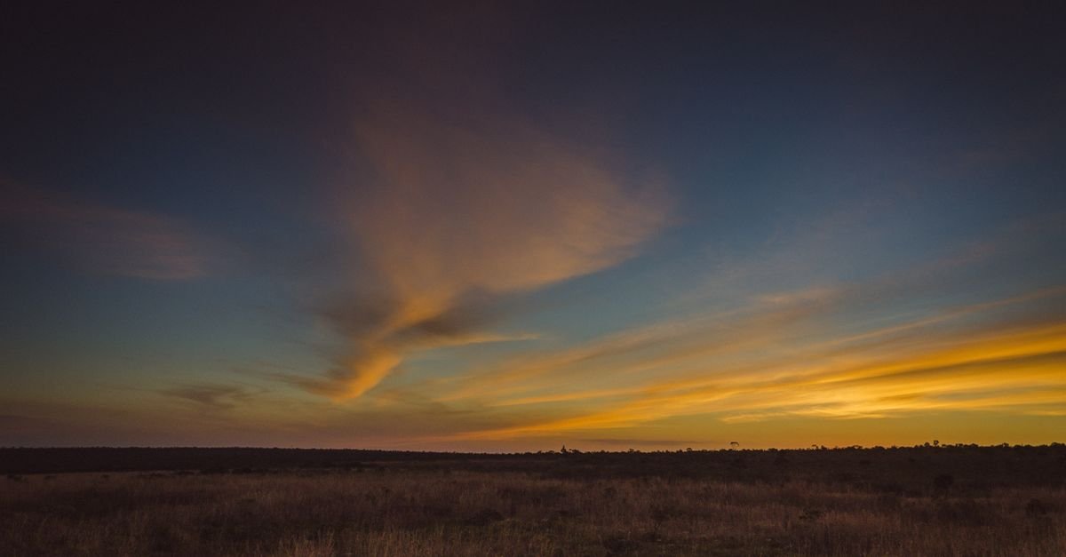 Paisagem de cerrado no Distrito Federal ao pôr do sol, com vegetação rasteira e céu alaranjado