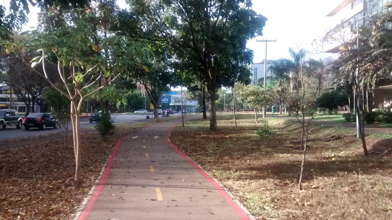 Ciclovia de asfalto vermelho com faixa amarela entre árvores, em foto de arquivo tirada na Asa Norte, em Brasília