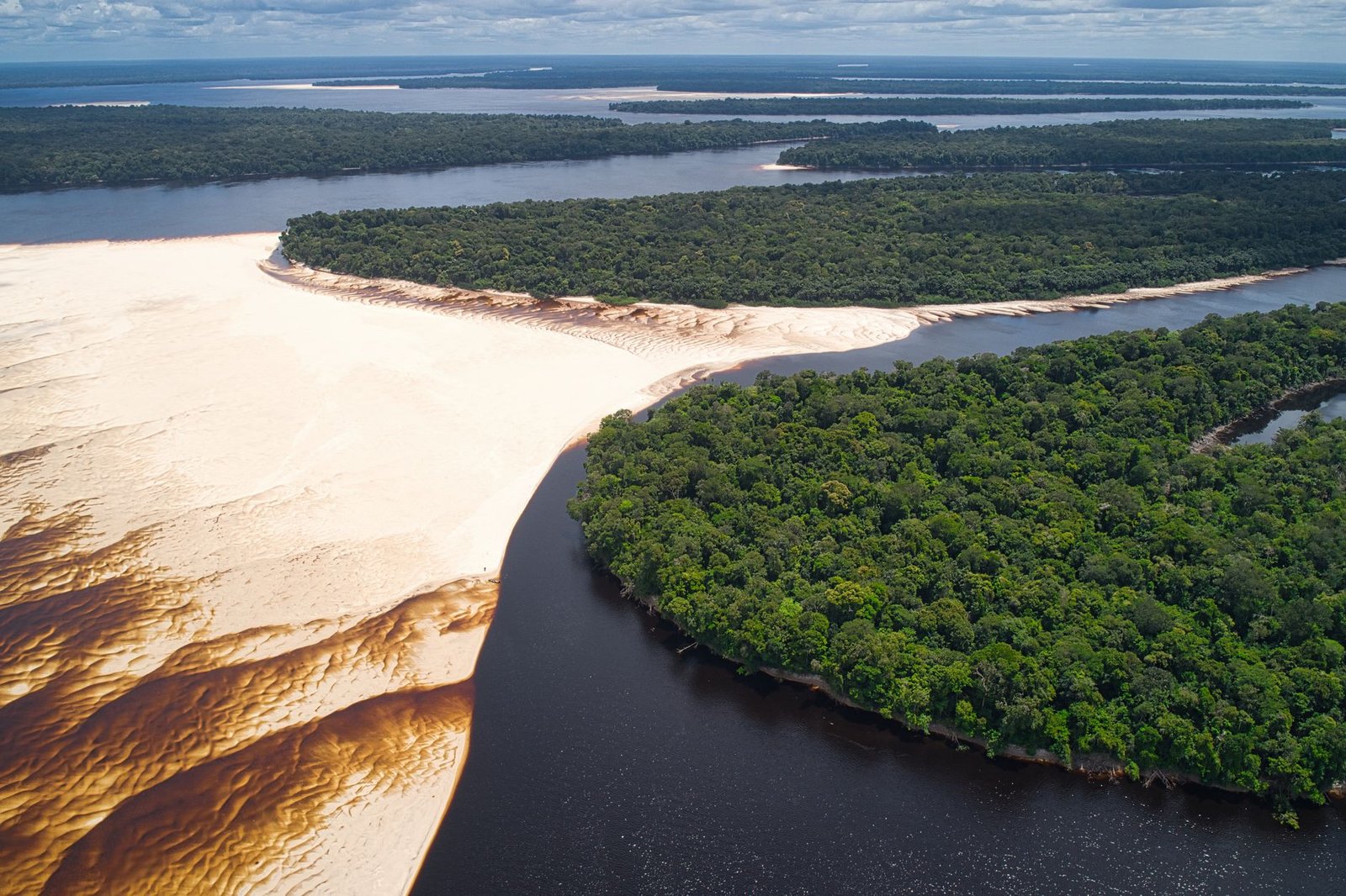 Vista aérea de floresta amazônica com rio escuro e banco de areia clara em Barcelos, no Amazonas (foto ilustrativa)