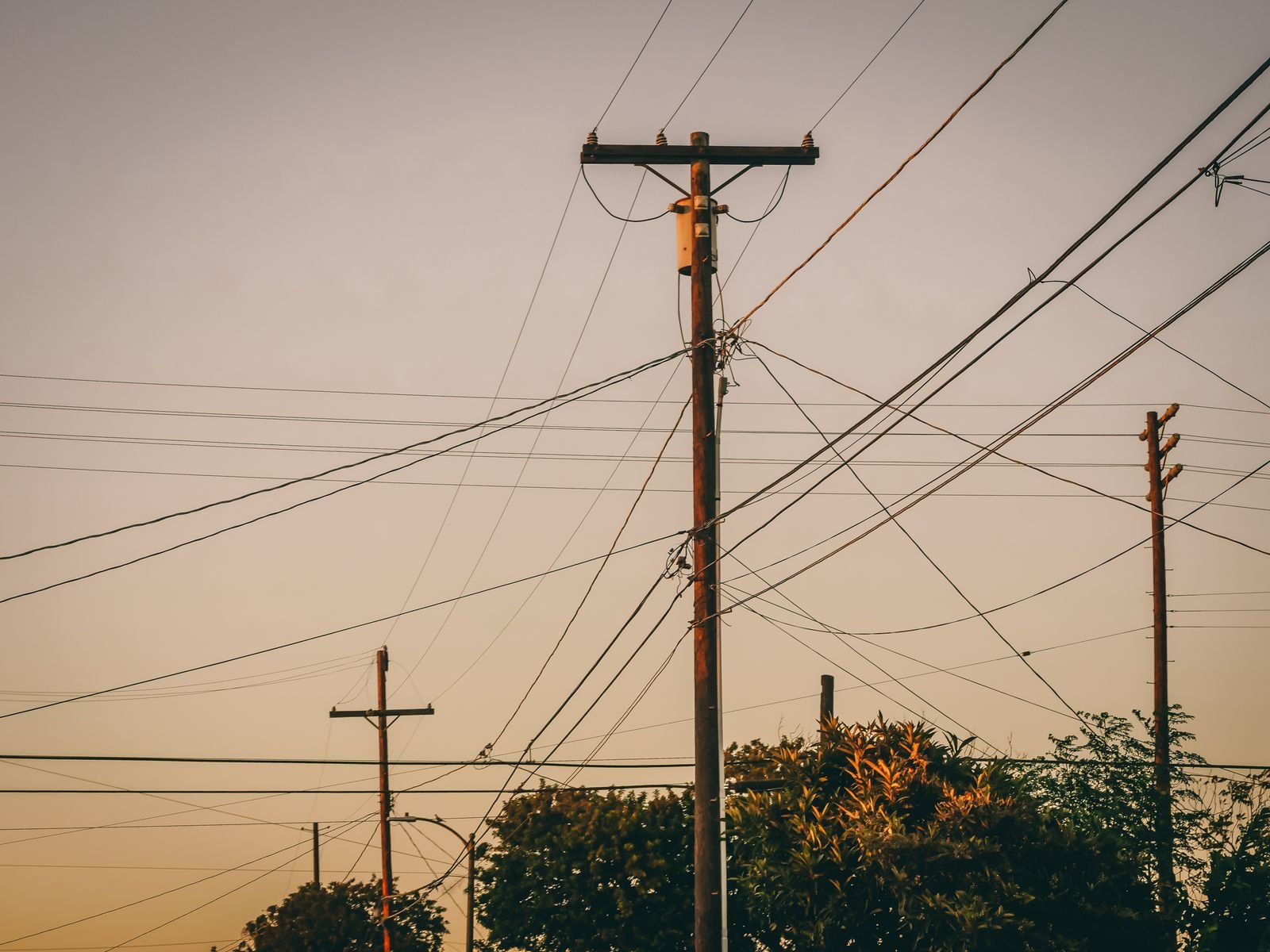Postes e fios de energia elétrica ao entardecer