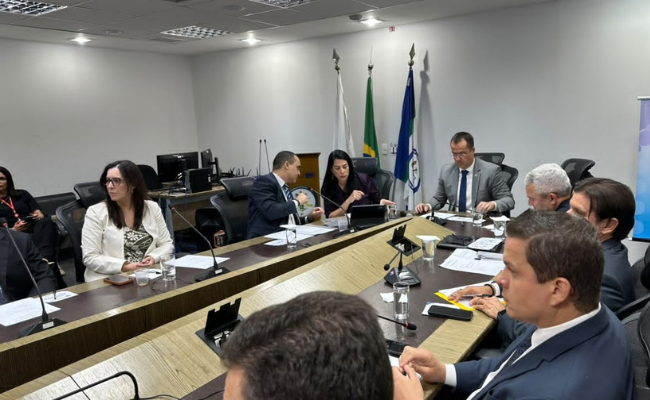Reunião em sala com mesa em U, bandeiras do Brasil e do Distrito Federal ao fundo e cerca de dez participantes