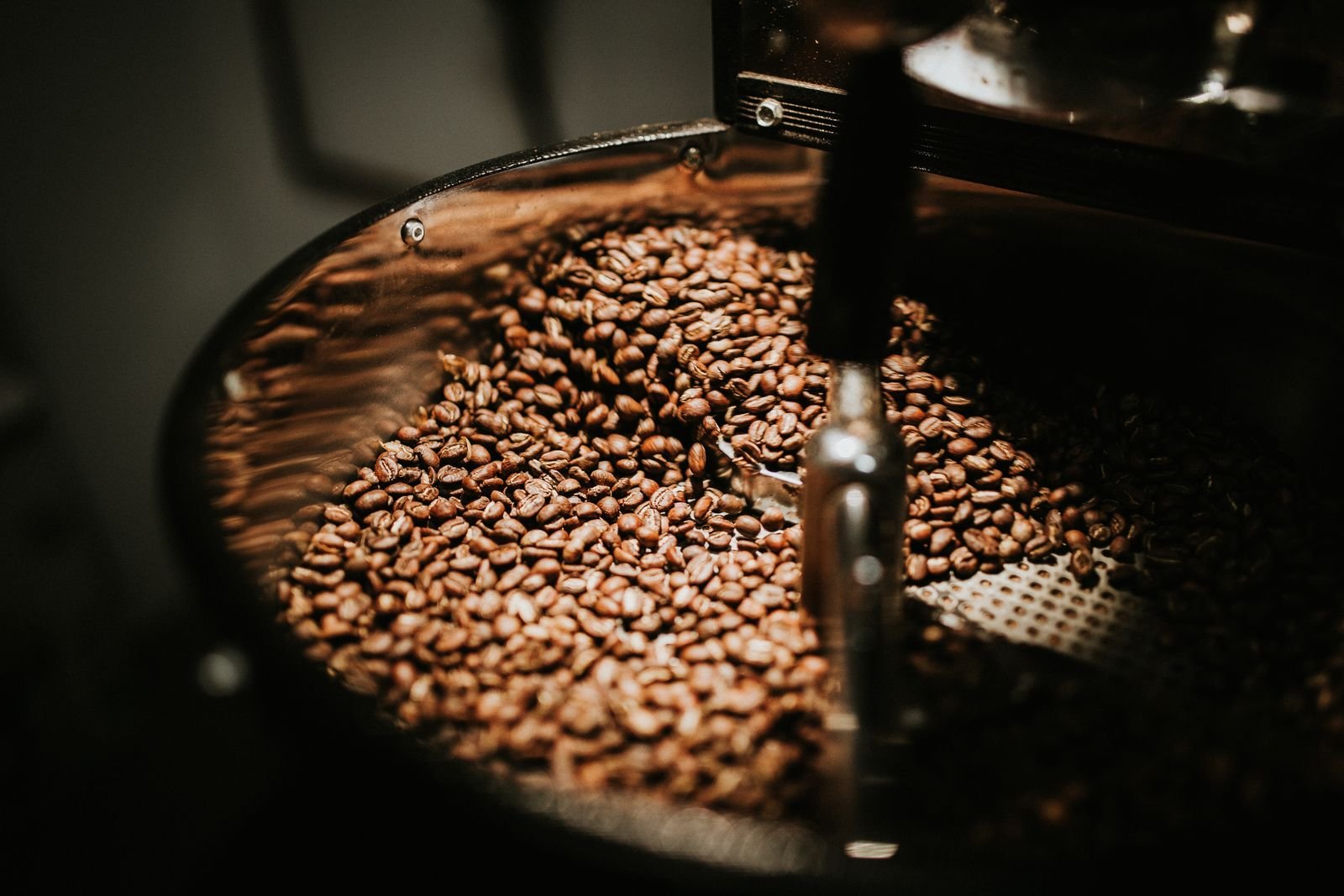 Grãos de café recém-torrados girando no tambor de uma torradeira