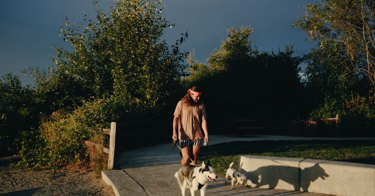 Homem passeia com dois cachorros na guia por uma alameda arborizada de parque no fim da tarde