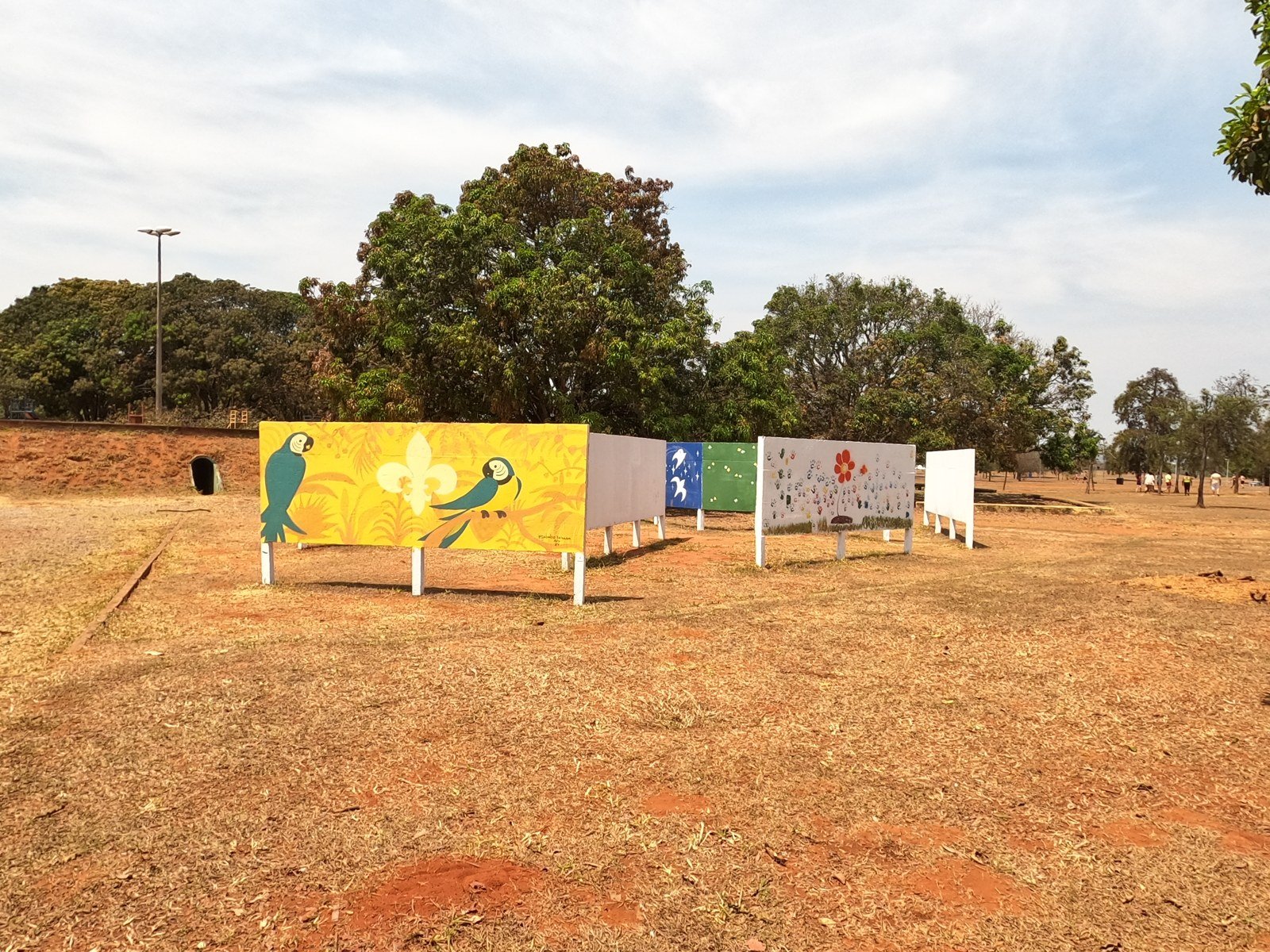 Painéis coloridos com araras e flores instalados em um gramado do Parque da Cidade, em Brasília