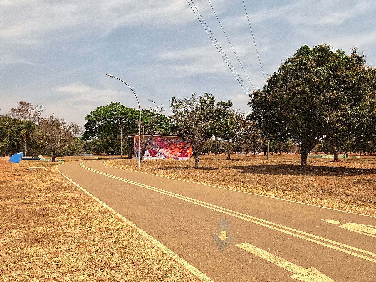 Ciclovia do Parque da Cidade Sarah Kubitschek, em Brasília, com quiosque grafitado e árvores ao fundo