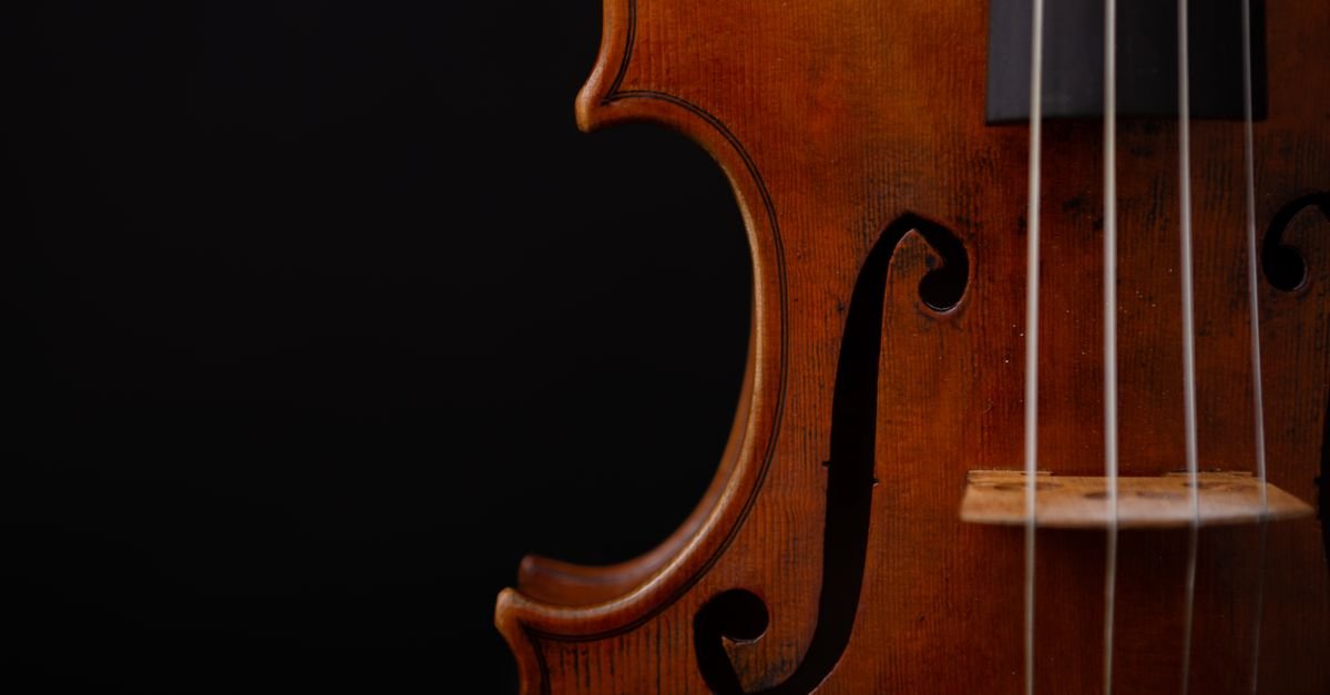 Closeup do corpo e das cordas de um violino em fundo preto