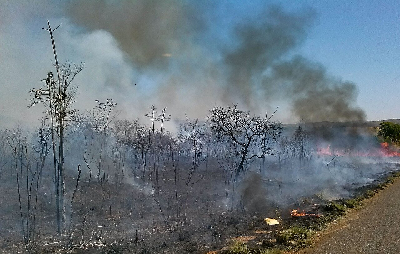 Incendio em vegetacao de cerrado a beira de estrada, com fumaca escura e arvores queimadas