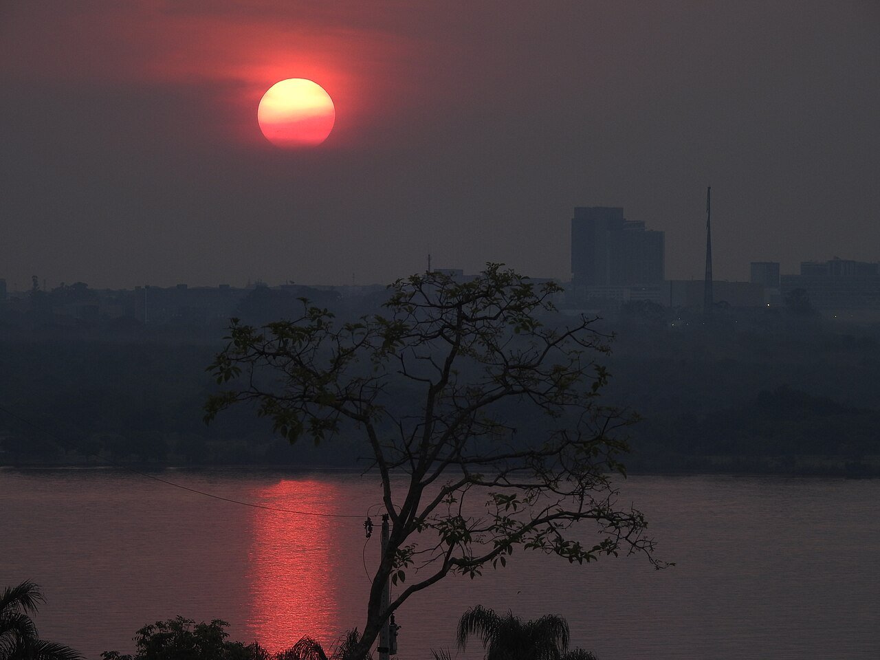 Sol vermelho se pondo sobre o Lago Paranoá, com uma árvore em silhueta em primeiro plano e a cidade ao fundo