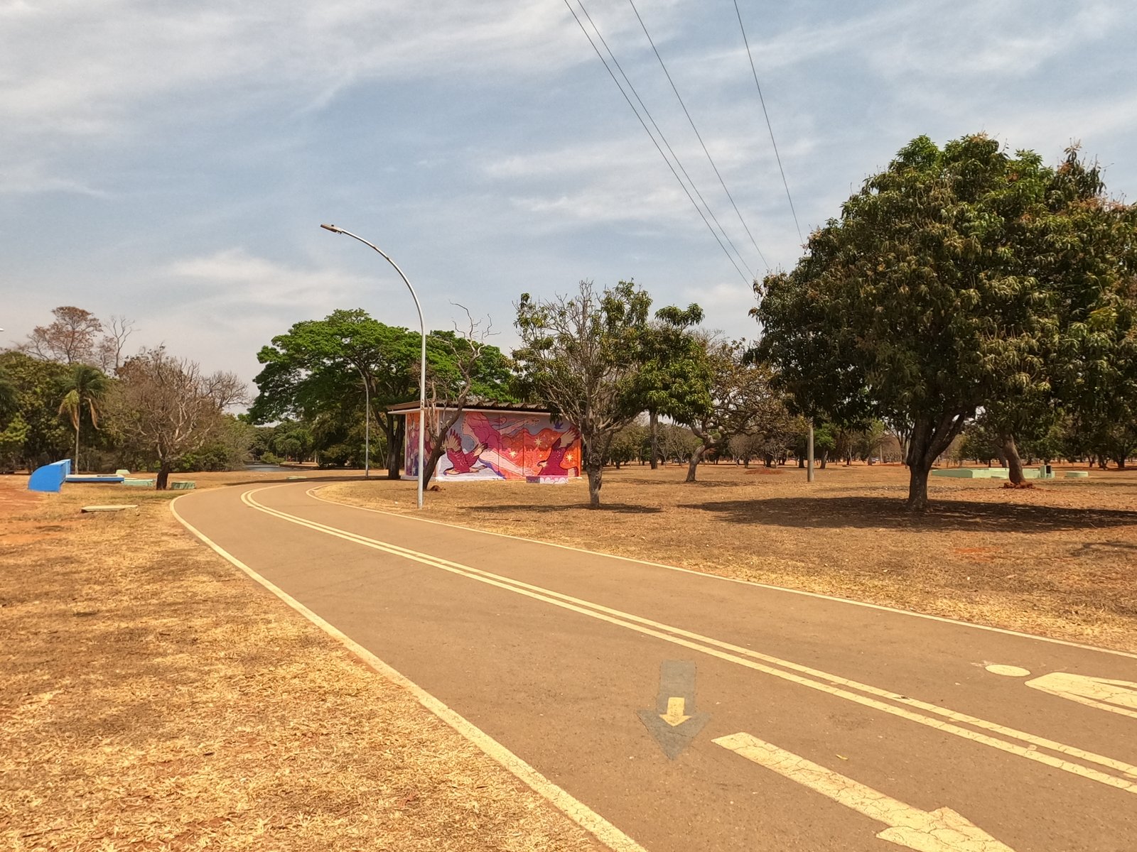 Pista de caminhada e ciclovia do Parque da Cidade, com mangueiras, gramado seco e um painel grafitado ao fundo