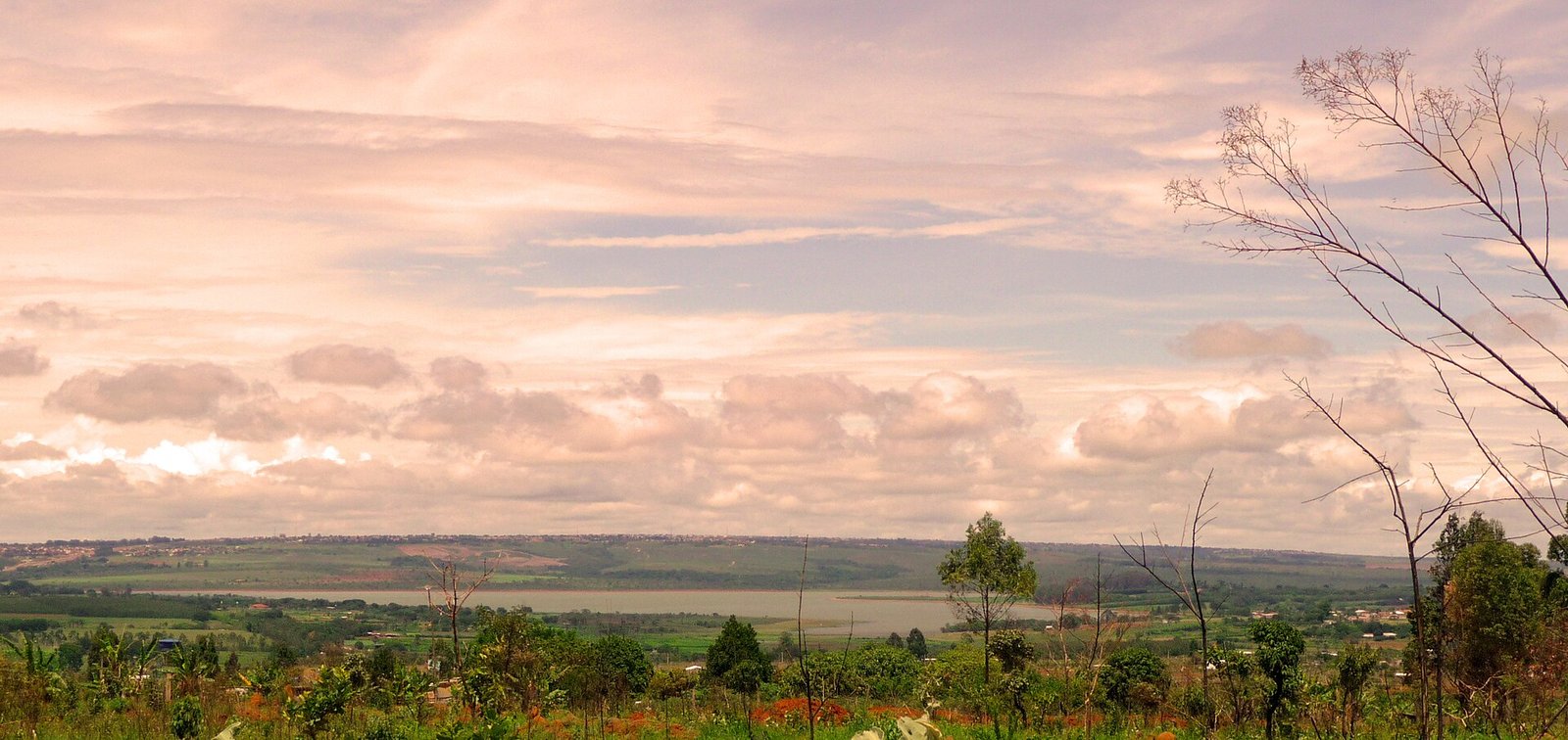 Vista do reservatorio da Barragem do Descoberto, com vegetacao de cerrado em primeiro plano