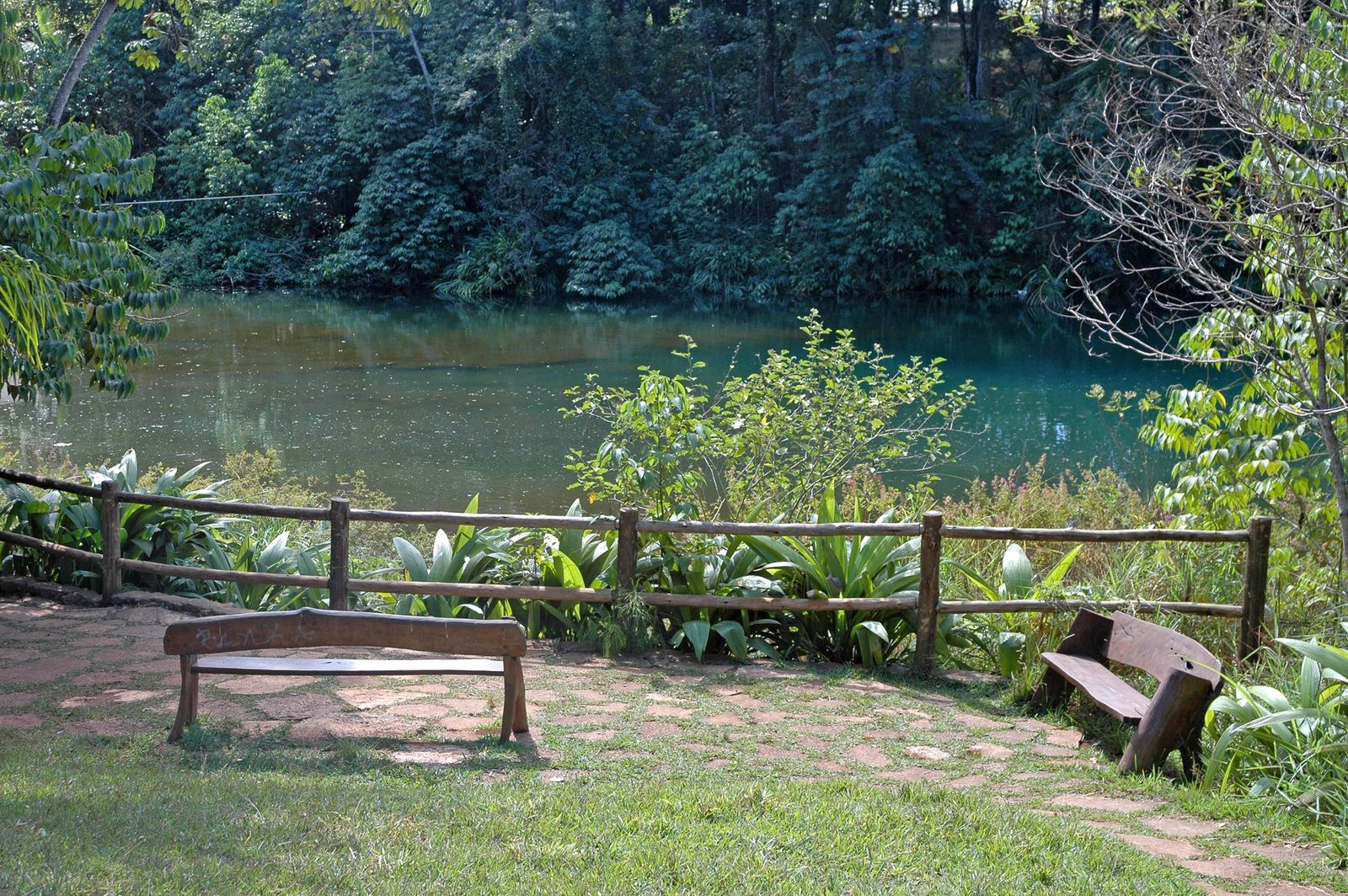 Lagoa de águas azuladas cercada de mata, com bancos de madeira à beira, no Parque Olhos d’Água, em Brasília