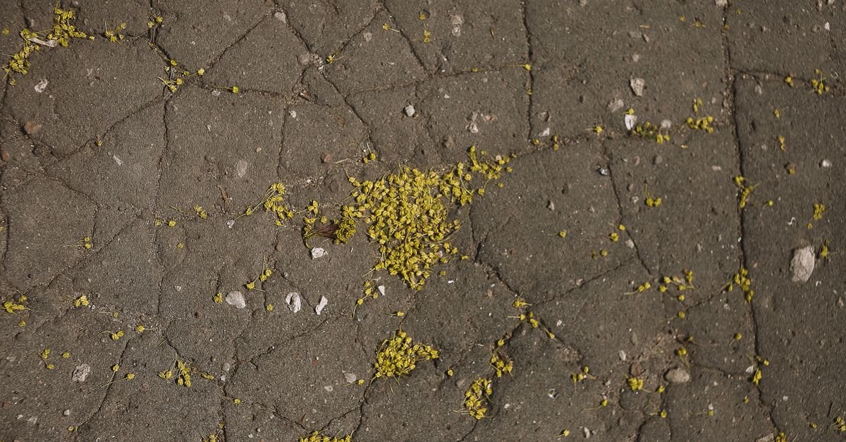 Piso de concreto rachado em via pública, com fissuras e detritos
