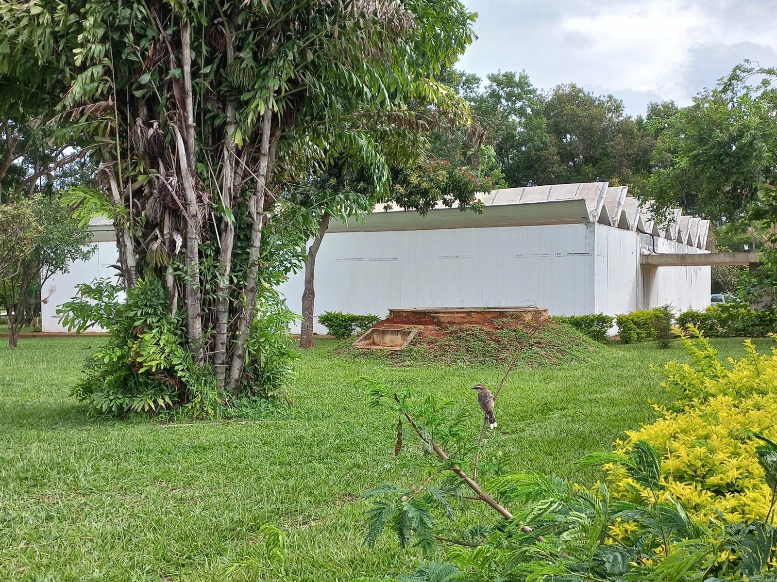 Edifício do complexo cultural da antiga Funarte, com cobertura em dentes de serra, cercado de árvores