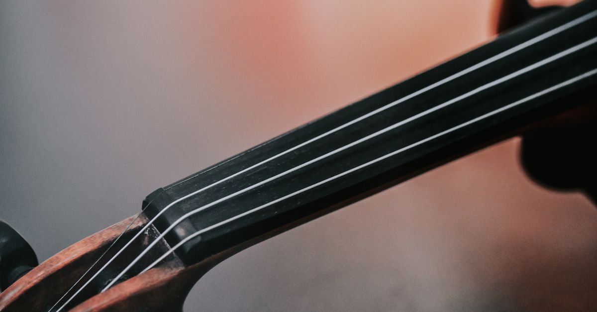 Detalhe do braço e das cordas de um violino