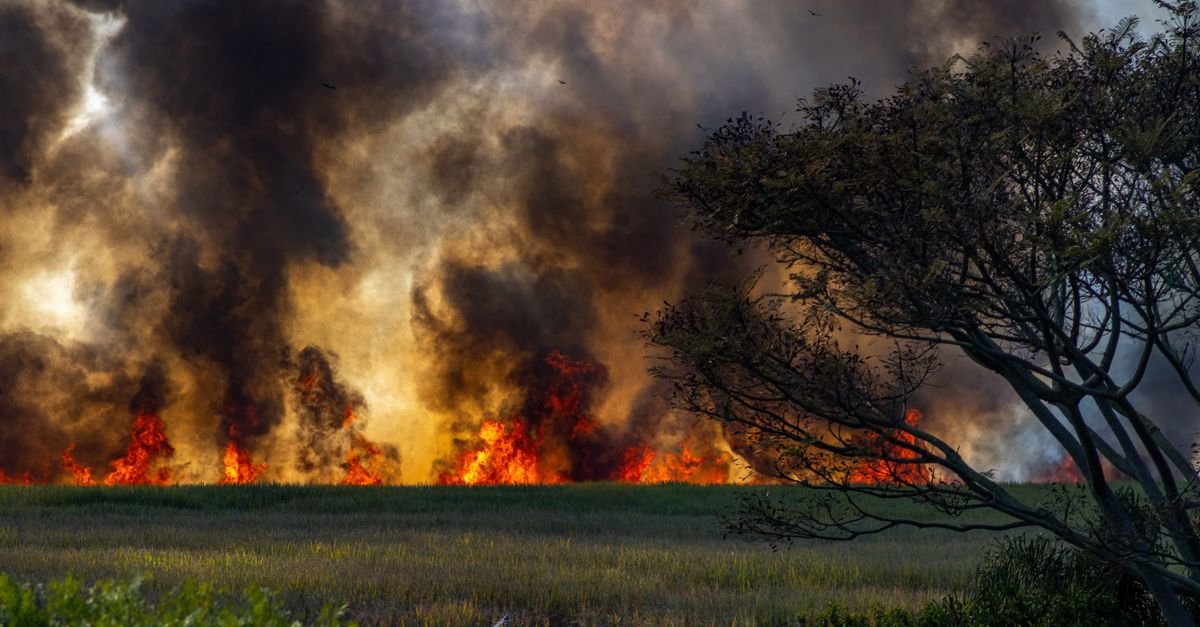 Incêndio em área de vegetação seca com chamas e coluna densa de fumaça escura