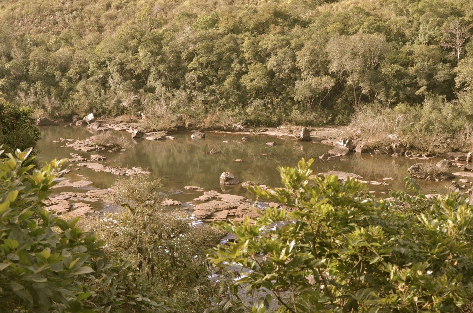 Rio entre a vegetação no Vale dos Vinhedos, região produtora de vinho no Rio Grande do Sul (foto de arquivo)